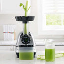 Low Speed Masticating Celery Juicer Juicers Low Speed Masticating Celery Juicer Low Speed Masticating Celery Juicer OMEGA