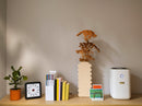 AF 20 Air Purifier with H13 HEPA Filter