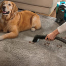Conga 3000 CarpetClean, 400W Vacuum Cleaner Conga 3000 CarpetClean, 400W Conga 3000 CarpetClean, 400W Cecotec