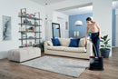 Spot Cleaner & Stain Remover Wash & Dry (Carpet Cleaner)